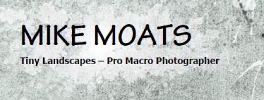 MIKE MOATS MACRO PHOTOGRAPHY