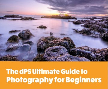 THE ULTIMATE PHOTOGRAPY GUIDE FOR BEGINNERS